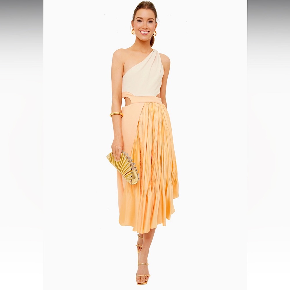 NEW JONATHAN SIMKHAI Almond Melon Angel One Shoulder Midi, Size 2